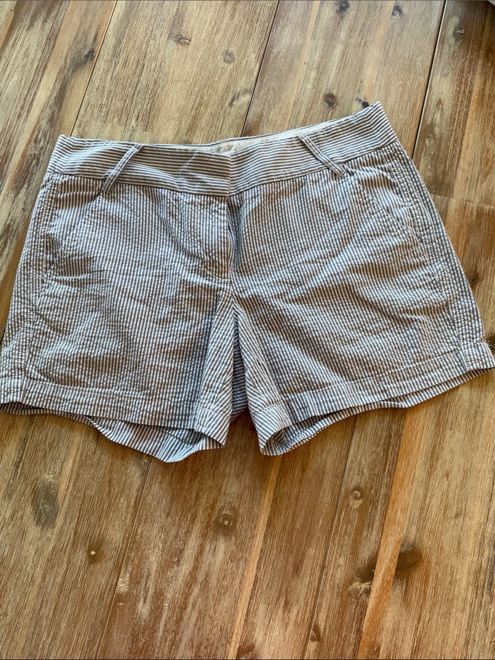 J. Crew Blue & White Seersucker Women’s Shorts
